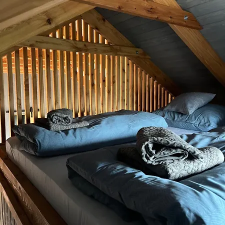 Pension U Stribrneho Jelena - Tiny House Cheb Exterior photo